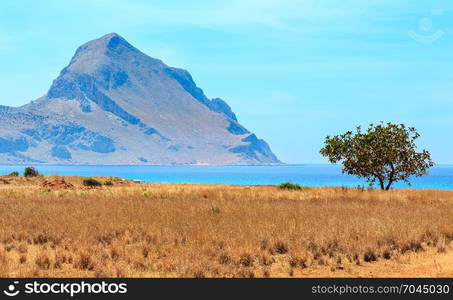 Alone tree in front of azure Tyrrhenian sea picturesque bay, Monte Cofano mount view from Santa Margherita Beach, Macari, San Vito Lo Capo region, Sicily, Italy