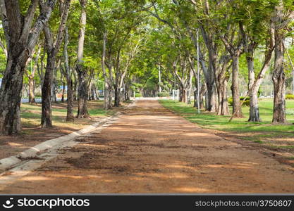 Along the tree line to go ahead with a long corridor in the middle. Atmosphere.