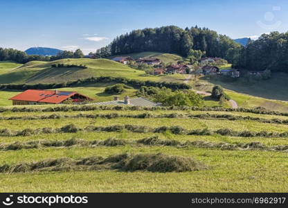 Alp with lines of drying hay and farmhouses in mountains near Berchtesgaden in Germany. Alp with drying hay in German mountains near Berchtesgaden