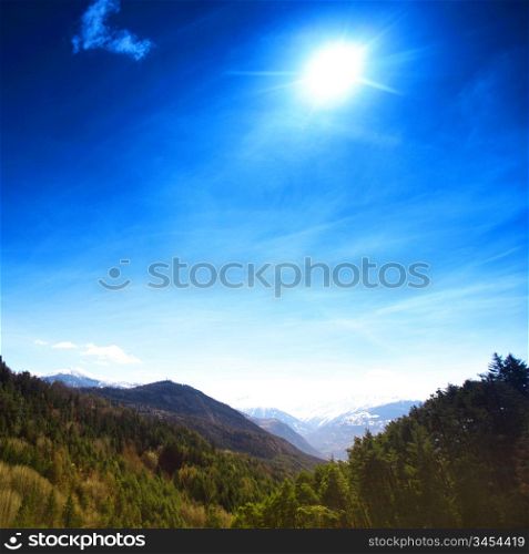 alpen mountain forest sun shine
