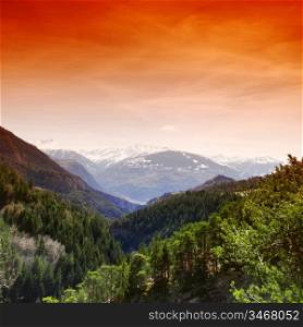 alpen mountain forest sun shine
