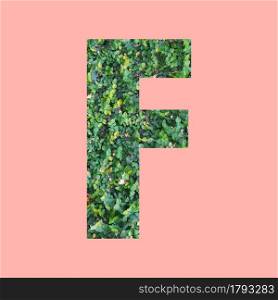 Alphabet letters of shape F in green leaf style on pastel pink background for design in your work.