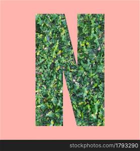 Alphabet letters of shape N in green leaf style on pastel pink background for design in your work.