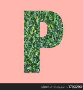 Alphabet letters of shape P in green leaf style on pastel pink background for design in your work.