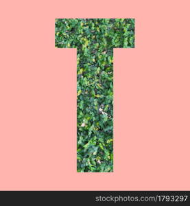 Alphabet letters of shape T in green leaf style on pastel pink background for design in your work.
