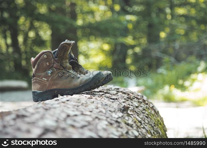 Alpine boots on a tree trunk: hiking trip in the alps, hiking holidays