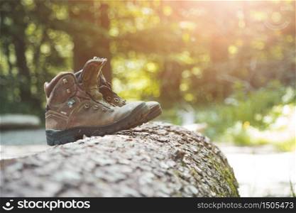 Alpine boots on a tree trunk: hiking trip in the alps, hiking holidays