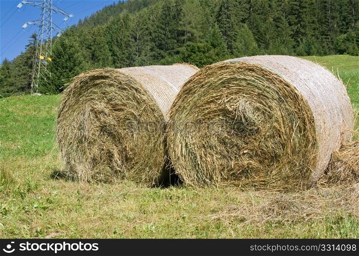 alpine field with two sheaves of hay