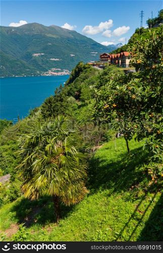 Alpine Lake Como summer view from shore (Italy).