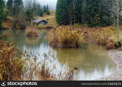 Alpine lake Geroldee or Wagenbruchsee, Bavaria, Germany. Autumn overcast, foggy and drizzle day. Picturesque traveling, seasonal, weather, and rural nature beauty concept scene.