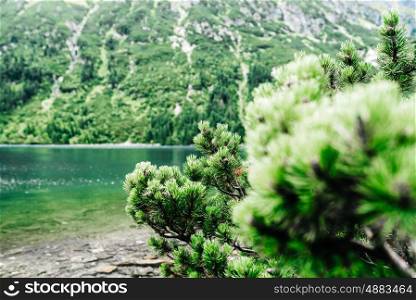 alpine lake sea eye in summer in Poland