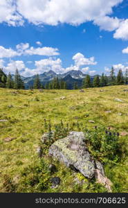 Alpine landscape: Meadow, forest, mountains and blue sky