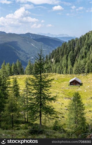 Alpine landscape: Meadow, forest, mountains and blue sky