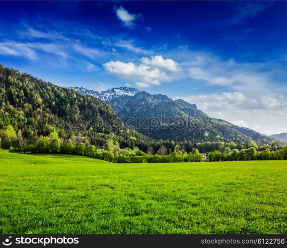 Alpine meadow in Bavarian Alps. Bavaria, Germany