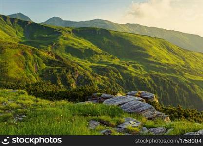 Alpine meadow in beautiful Rodna mountains, Romania, Europe. Alpine meadow in beautiful Rodna mountains in Romania