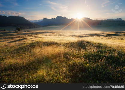 Alpine meadow sunrise, Dolomites Alps, Italy