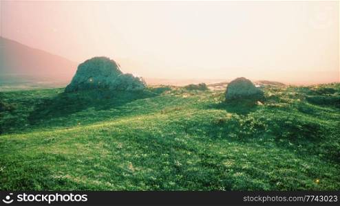 alpine meadow with rocks and green grass
