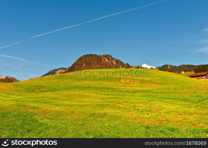 Alpine Pasture Framed by Mountains in Switzerland