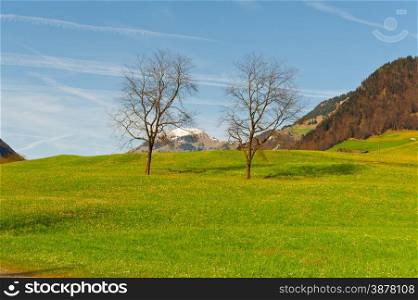 Alpine Pasture Framed by Mountains in Switzerland