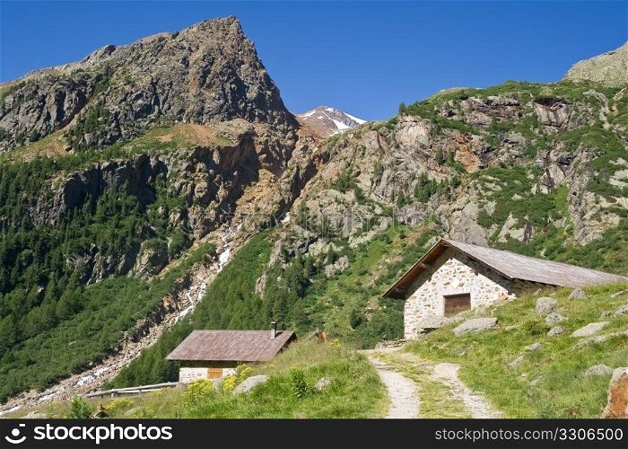 alpine pasture with two typical stone homes