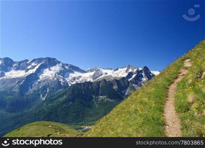 alpine path in summer over Tonale pass. On the background Presena mountain, Trentino, Italy