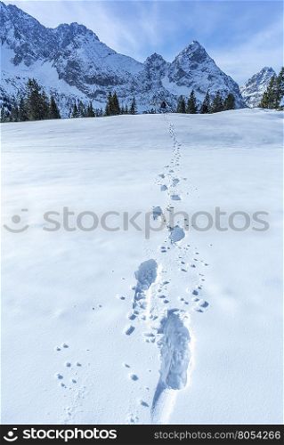 Alpine path of footsteps in the snow - Snowy landscape in the Austrian Alps mountains with details of footprints on the blanket of snow.