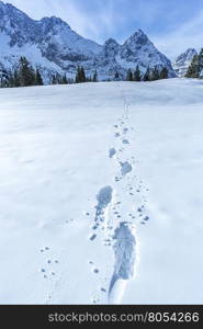 Alpine path of footsteps in the snow - Snowy landscape in the Austrian Alps mountains with details of footprints on the blanket of snow.