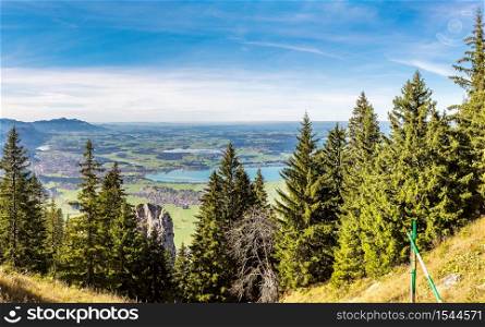 Alps and forest in a summer day in Germany. Taken from the hill next to Neuschwanstein castle