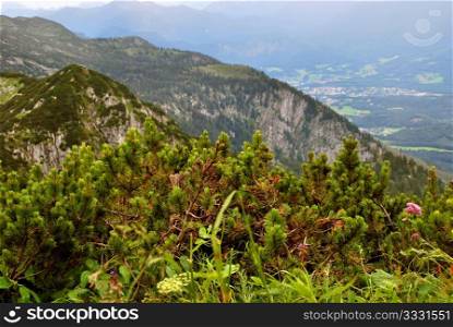 Alps Mountains in Summer - View from Untersberg, Salzburgerland, Austria
