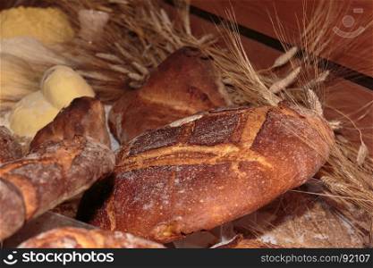 Altamura Italian Fresh Bread and Sheaves of Wheat. Altamura Italian Fresh Bread
