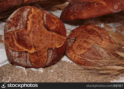 Altamura Italian Fresh Bread and Wheat Seeds