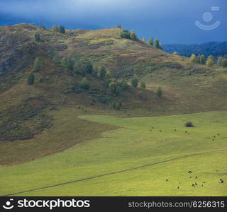 Altay mountains in beauty day, Siberia, Russia