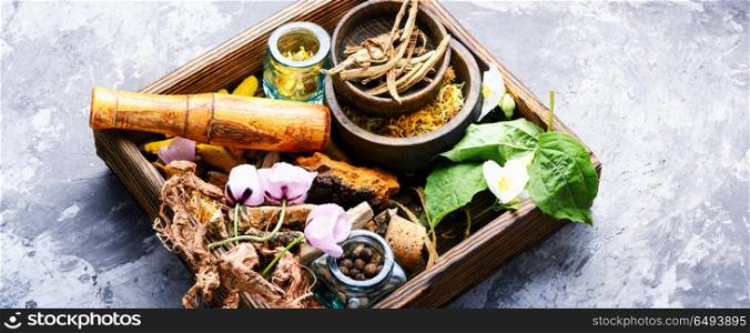 Alternative herbal medicine. Natural herbal medicine,medicinal herbs and herbal medicinal root.Natural herbs medicine