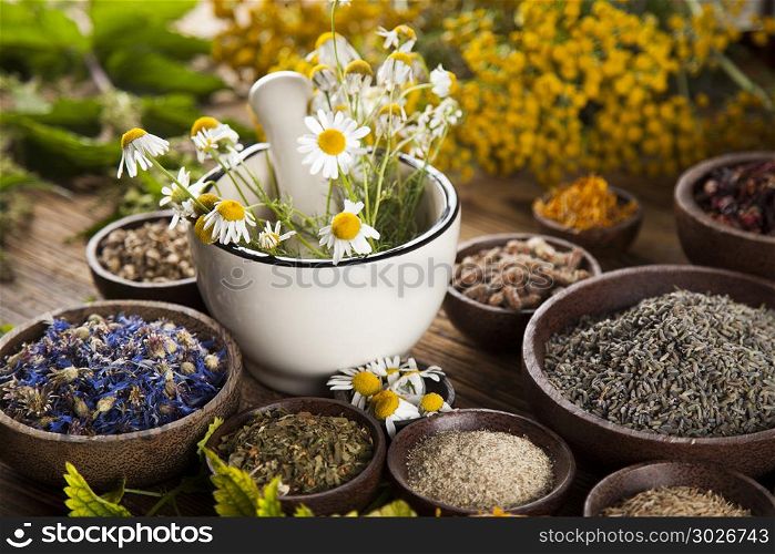 Alternative medicine, dried herbs and mortar on wooden desk back. Fresh medicinal, healing herbs on wooden