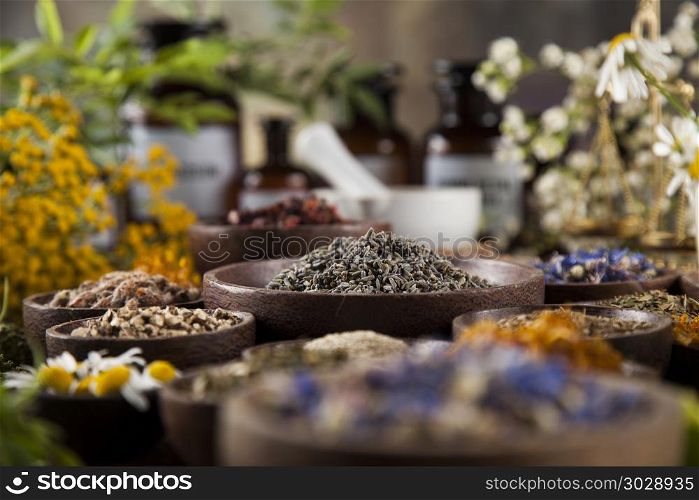 Alternative medicine, dried herbs and mortar on wooden desk back. Fresh medicinal, healing herbs on wooden