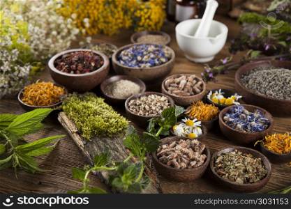 Alternative medicine, dried herbs and mortar on wooden desk back. Natural remedy and mortar, healing herbs background