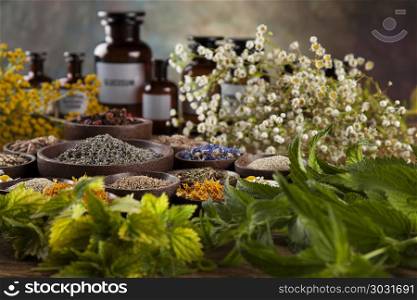 Alternative medicine, dried herbs and mortar on wooden desk back. Natural medicine, herbs, mortar on wooden table background