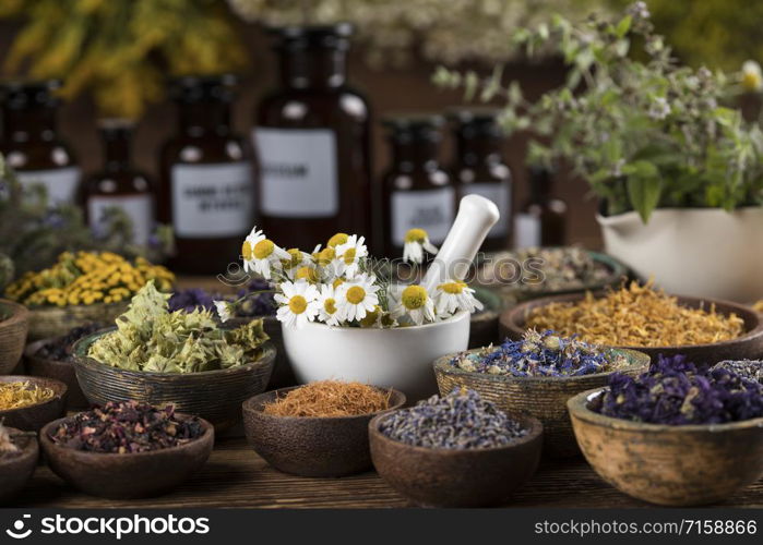 Alternative medicine, dried herbs background