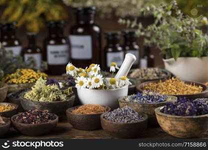 Alternative medicine, dried herbs background