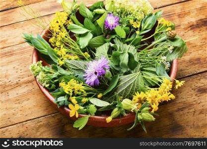 Alternative medicine, set of medicinal herbs and flowers.Natural medicine and homeopathy. Natural medicine,fresh plants,healing herbs