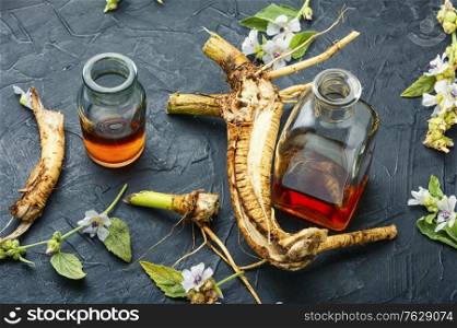 Althaea root or rhizome and healing tincture.Medicinal herbs and plants.. Althaea root in herbal medicine