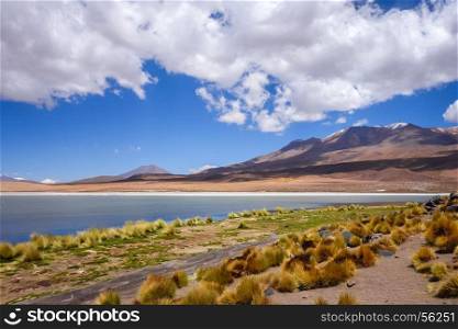 Altiplano laguna in sud Lipez reserva Eduardo Avaroa, Bolivia. Altiplano laguna in sud Lipez reserva, Bolivia