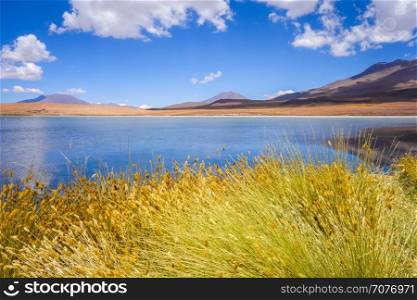 Altiplano laguna in sud Lipez reserva Eduardo Avaroa, Bolivia. Altiplano laguna in sud Lipez reserva, Bolivia