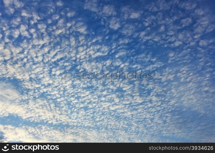 Altocumulus clouds on whole sky as a texture