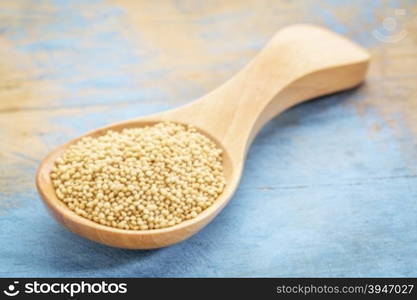 amaranth grain on a wooden spoon against blue painted grunge wood