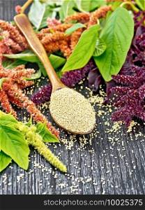 Amaranth groats in a spoon, red, burgundy and green inflorescences with leaves on the background of a dark wooden board