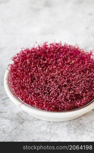 Amaranth micro herbs. Sprouting Micro greens. Seed Germination at home. Vegan and healthy eating concept. Sprouted amaranth Seeds, Micro greens. Growing sprouts. Green living concept. Organic food.