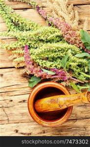 Amaranth or amaranthus.Medicinal herbs, herbal medicine.Amaranth inflorescences on a table with mortars. Amaranth and herbal medicine