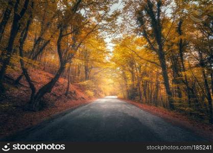 Amazing autumn forest with road in fog. Trees with red and yellow foliage in fall. Dreamy landscape with foggy trees, mountain road, colorful leaves. Travel. Nature seasonal background. Magical forest