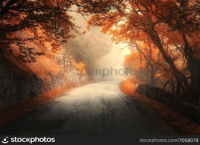 Amazing autumn forest with rural road in fog. Fall trees with orange foliage. Landscape with woods, mountain road, colorful leaves, and mist. Travel. Nature background. Magical foggy forest. Fairytale